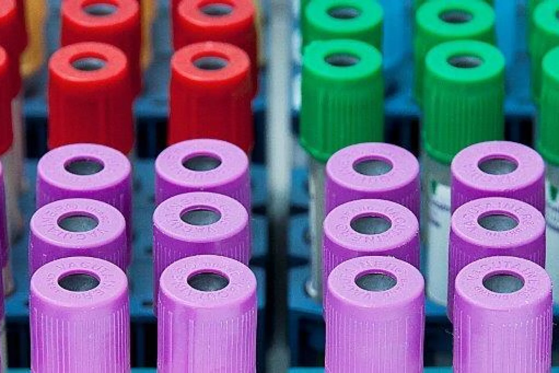 Buisjes rood paars roze